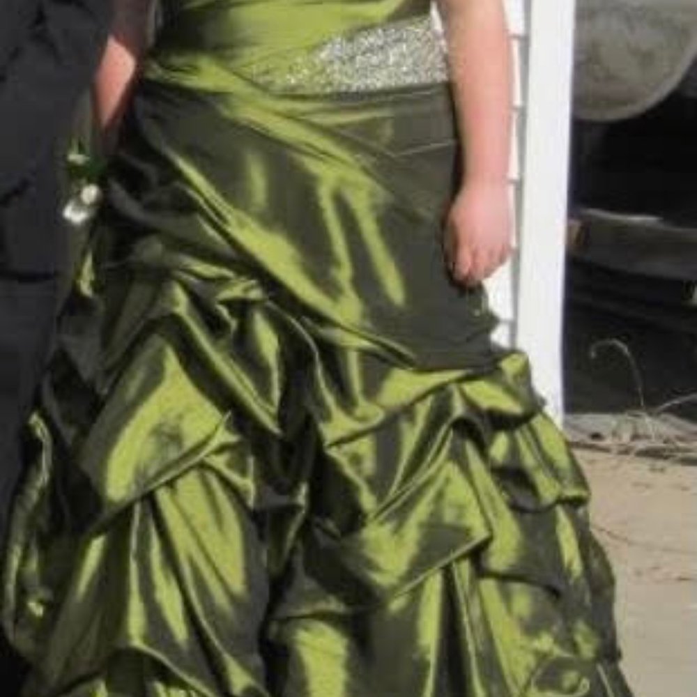 Plus Size Prom Dress - Picture 3 of 3
